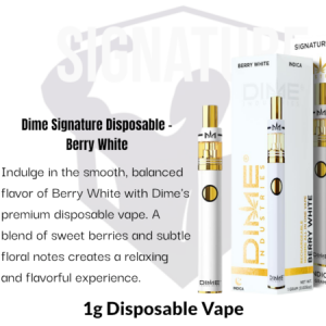 Dime Industries: Berry White 1000mg All in One Device