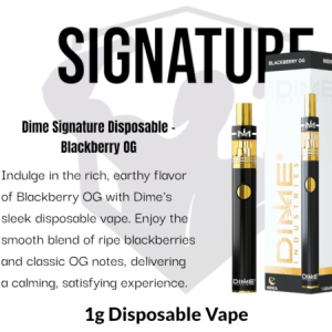 Dime Industries: Blackberry OG 1000mg All in One Device
