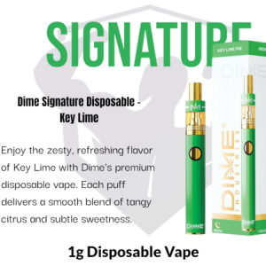 Dime Industries: Key Lime 1000mg All in One Device